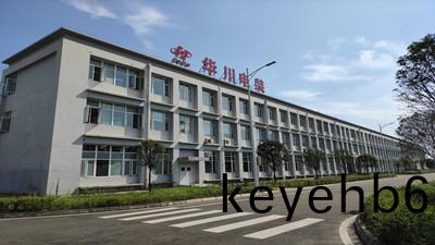 成都華(hua)川(chuan)電(dian)裝有(you)限(xian)責任(ren)公司(si)消防(fang)設(she)施維護(hu)保養(yang)項目--國晉(jin)維保(bao)案例