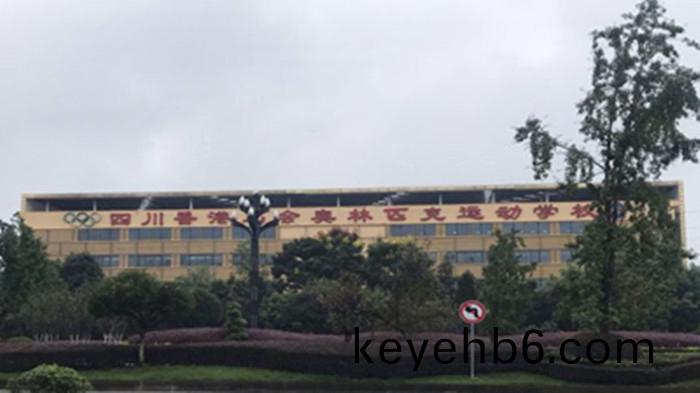 四川香港馬會(hui)奧林(lin)匹尅(ke)運動(dong)學(xue)校(xiao)消防維保(bao)項目(mu) 700