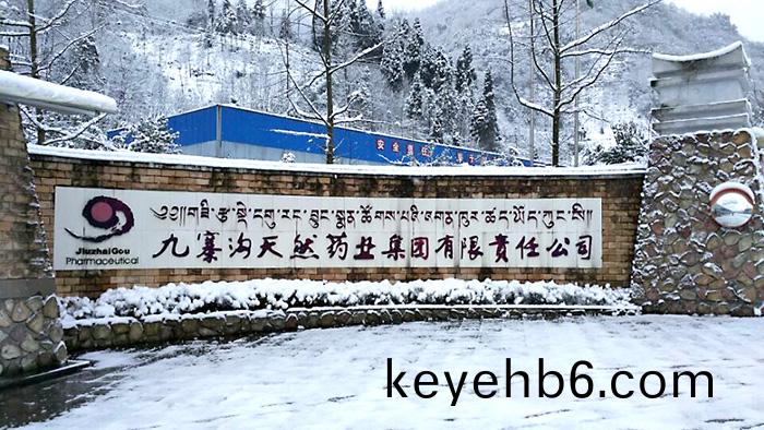 四(si)川九寨溝(gou)天(tian)然藥(yao)業生産項目消(xiao)防維(wei)保項目 (1)-700