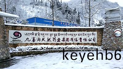 四川九(jiu)寨(zhai)溝(gou)天(tian)然(ran)藥(yao)業生産項(xiang)目(mu)消(xiao)防維(wei)保項目—國(guo)晉消(xiao)防案例