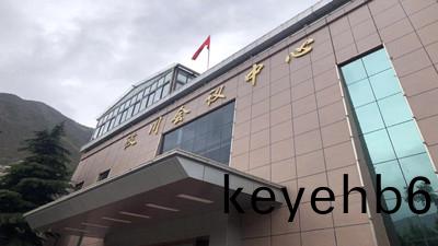 汶川縣會議中(zhong)心消(xiao)防係統維護保養(yang)工(gong)程--四(si)川國(guo)晉(jin)消(xiao)防(fang)維(wei)保(bao)案(an)例