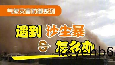 遇到(dao)沙(sha)塵暴(bao)怎麼(me)辦(ban)（二(er)）？--四(si)川(chuan)國(guo)晉消防