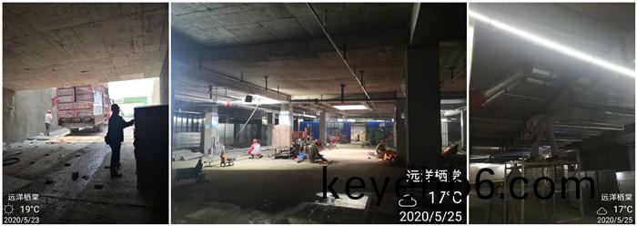 5月23日 崇(chong)州(zhou)遠(yuan)洋棲(qi)棠700
