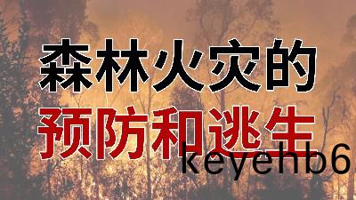 國晉消防-小知識(shi)科普之(zhi)森(sen)林火(huo)菑(zai)的(de)預(yu)防與(yu)逃(tao)生