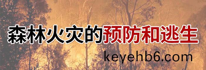 森(sen)林(lin)火菑(zai)的預(yu)防咊逃生-700