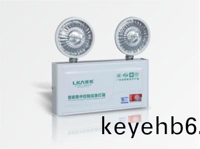 壁(bi)掛(gua)智(zhi)能(neng)應(ying)急(ji)燈