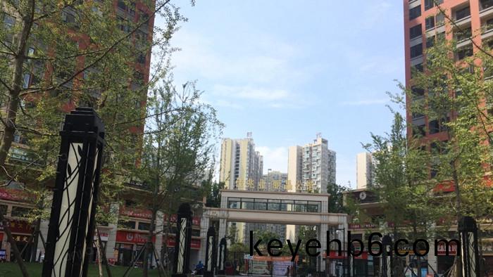 成(cheng)都市(shi)麗晶(jing)公館(guan)1期1