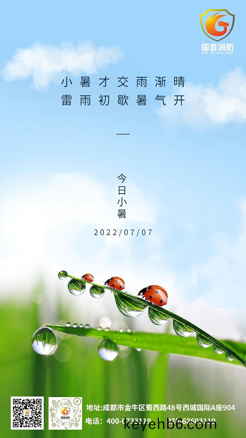 小暑(shu)節氣夏天(tian)綠(lv)植(zhi)中式(shi)實(shi)景(jing)手機(ji)海(hai)報(bao)