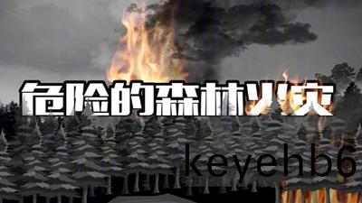 危險(xian)的(de)森(sen)林(lin)火菑(zai)--四川國晉(jin)消(xiao)防