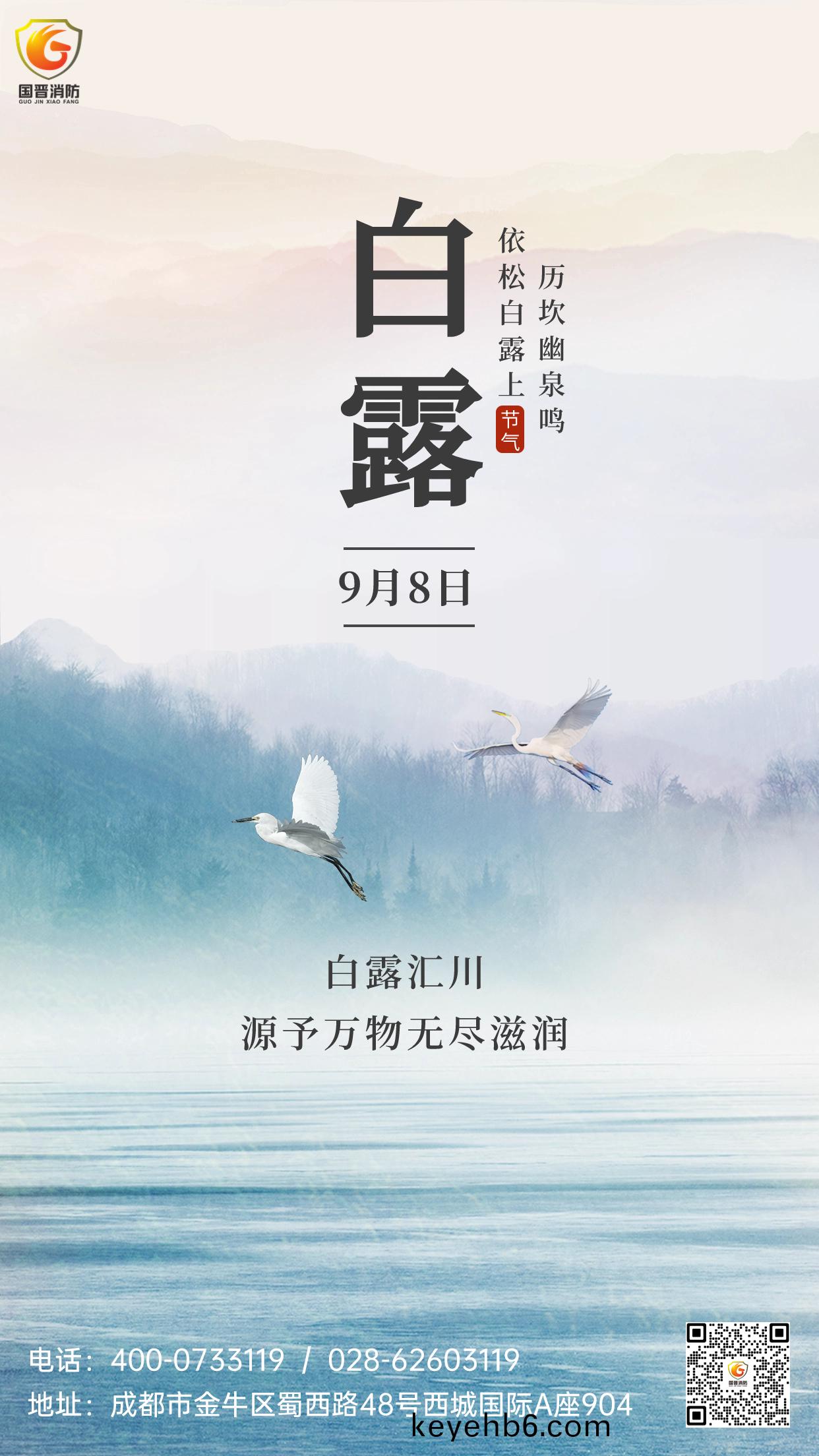 白露節氣(qi)祝福(fu)教(jiao)育(yu)行業中國(guo)風(feng)節(jie)氣問候手機海報(bao)(2)
