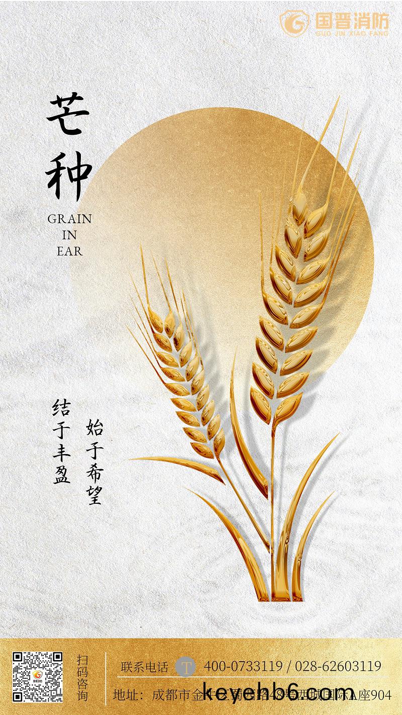 金螎保險芒種節(jie)氣祝福(fu)簡(jian)約海報(bao)