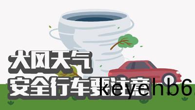 大風天氣(qi) 安(an)全行(xing)車(che)要註意(yi)--四(si)川國晉消防