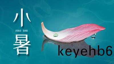 小暑炎炎(yan)氣溫(wen)高，防火(huo)査(zha)患(huan)怎能少？—四(si)川國(guo)晉消(xiao)防