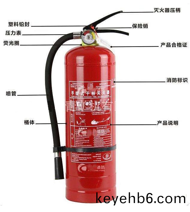 辨(bian)真僞(wei)2