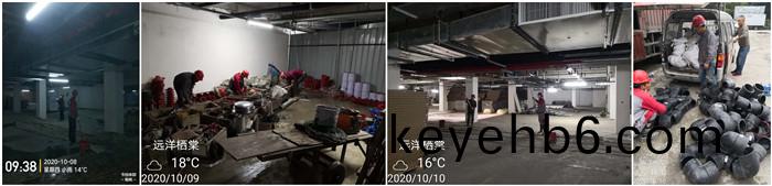 10月(yue)8日 崇(chong)州遠(yuan)洋棲棠--馬信(xin)全(quan)700